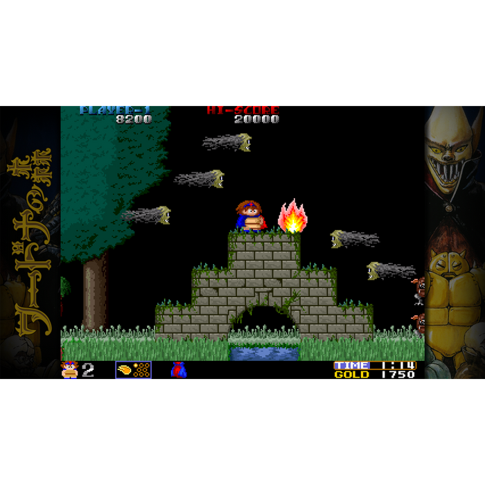 Toaplan Arcade Garage: Flying Fire Shark [EU Import] - Nintendo Switch (PRE-ORDER) (Free Shipping)