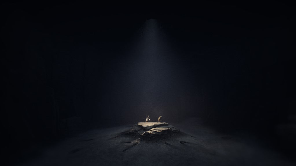 REANIMAL - Nintendo Switch 2 (PRE-ORDER)