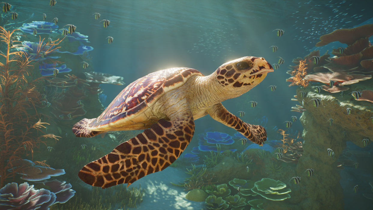 Planet Zoo 2 - Xbox Series X (PRE-ORDER)