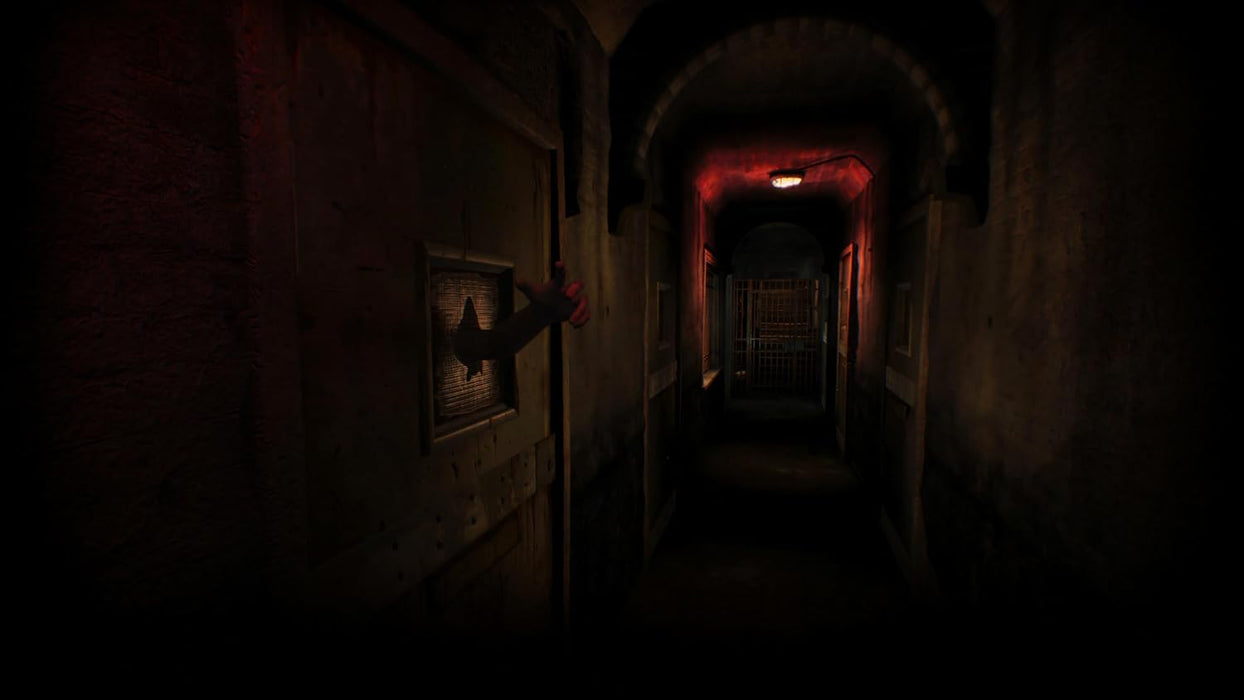 Asylum - Nintendo Switch (PRE-ORDER)