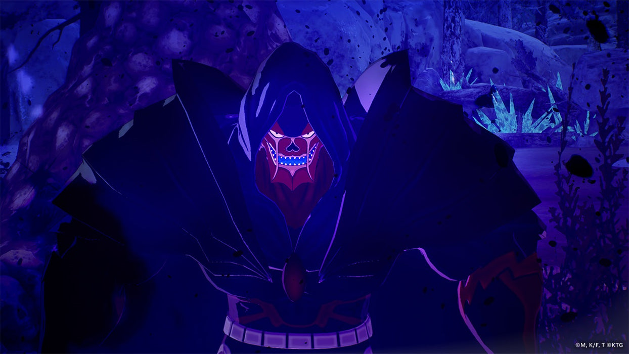 Fairy Tail 2 - Nintendo Switch