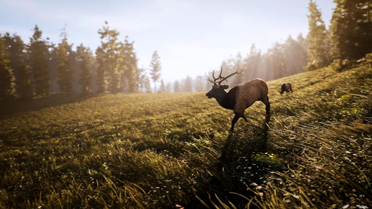 Hunting Simulator 3 - PlayStation 5 (PRE-ORDER)