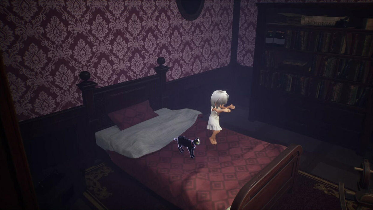 LIGHT: Black Cat & Amnesia Girl  (JPN Import - Multi-Language) - Playstation 5 (PRE-ORDER)