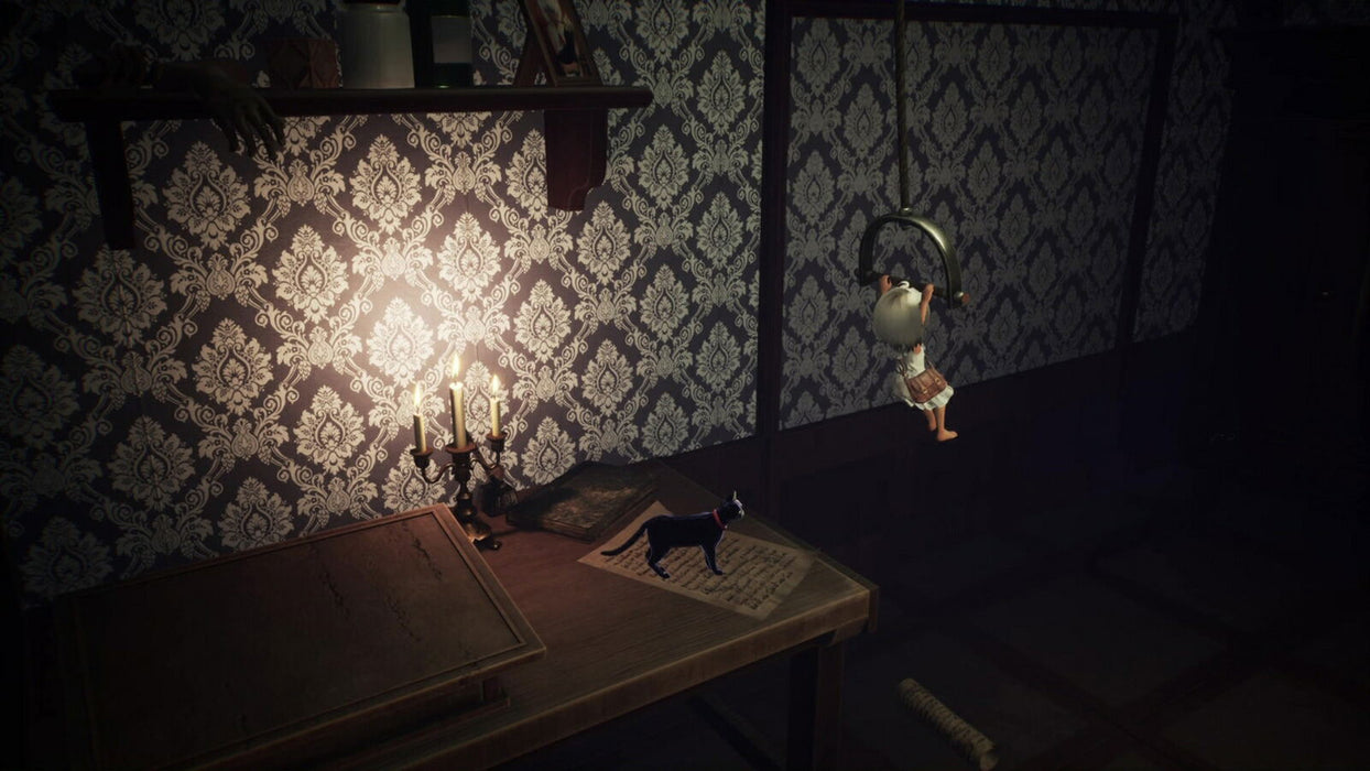 LIGHT: Black Cat & Amnesia Girl  (JPN Import - Multi-Language) - Playstation 5 (PRE-ORDER)