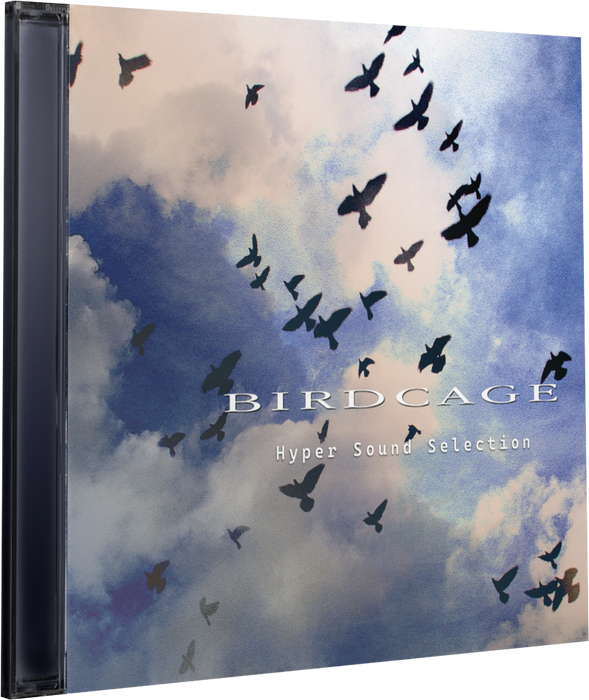 BIRDCAGE [Deluxe] - Playstation 5 (PRE-ORDER)