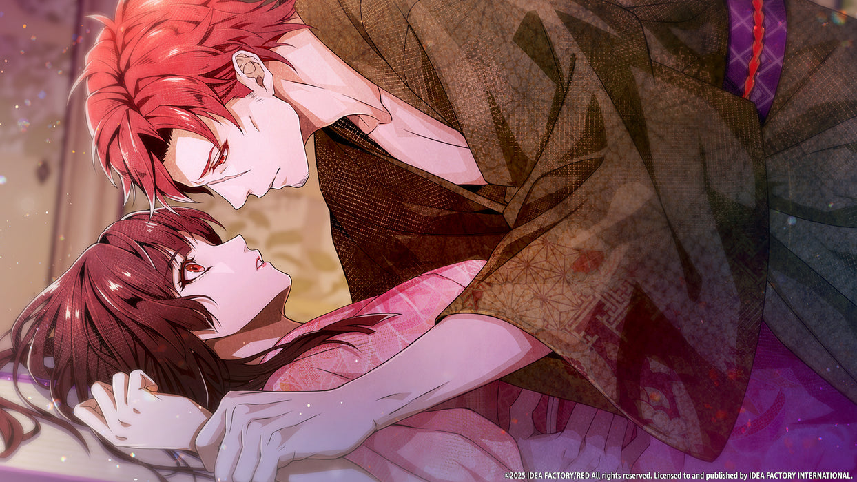 Birushana: Winds of Fate - Nintendo Switch (PRE-ORDER)