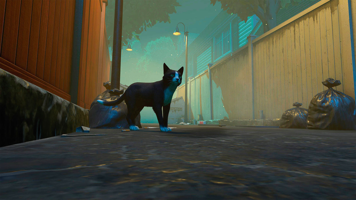 Copycat [EU Import] - Playstation 5