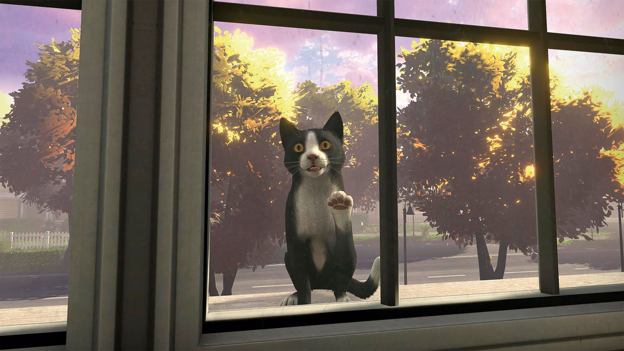 Copycat [EU Import] - Playstation 5