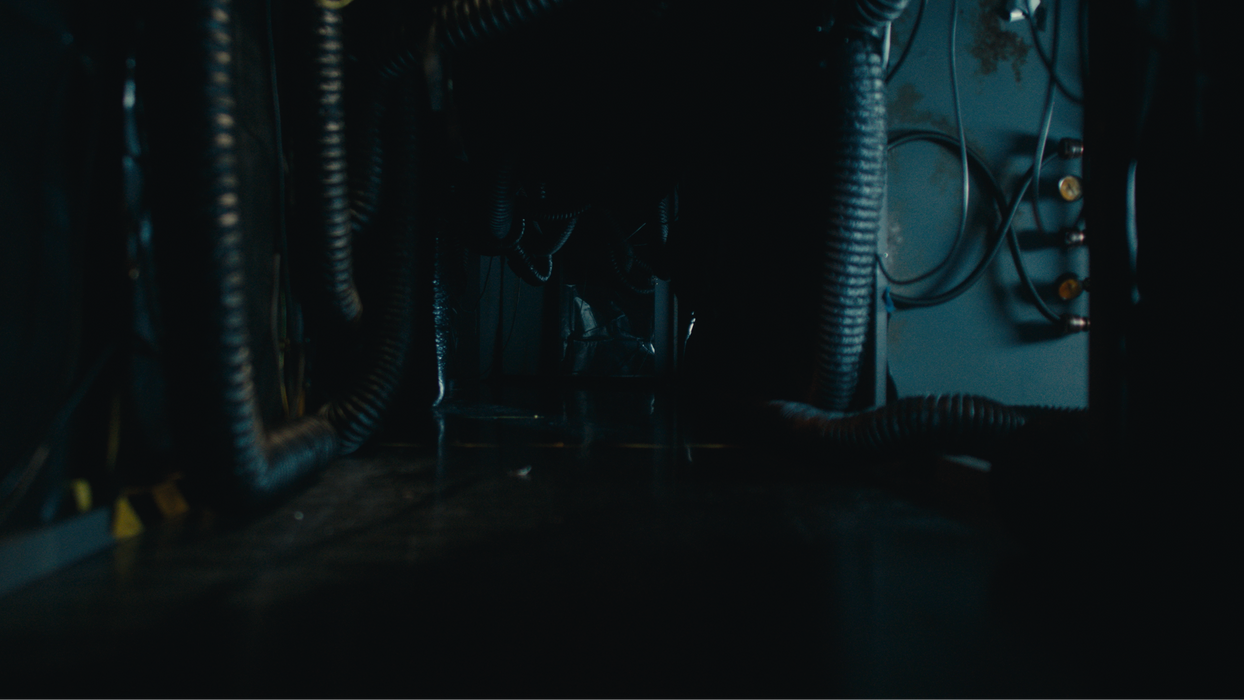 Dead Reset - Playstation 5