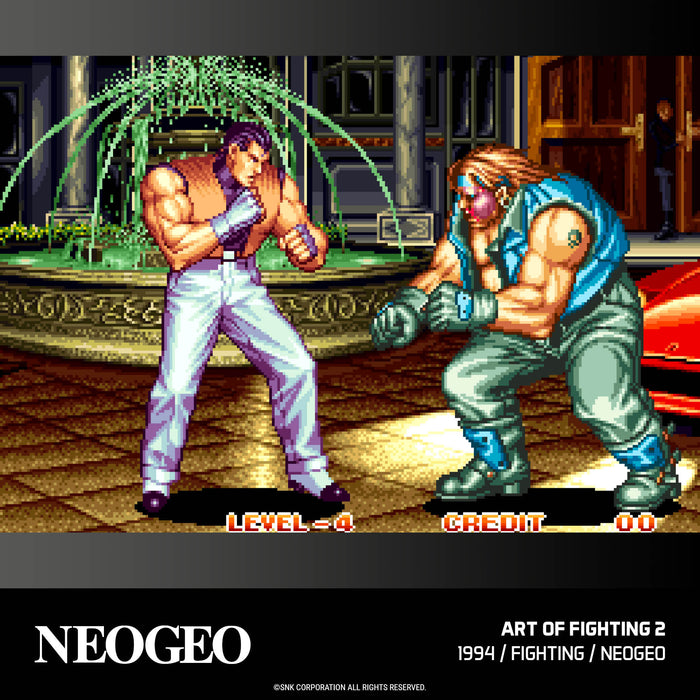 Evercade Neo Geo Arcade #2