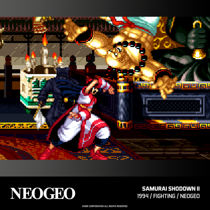 Evercade Neo Geo Arcade #3