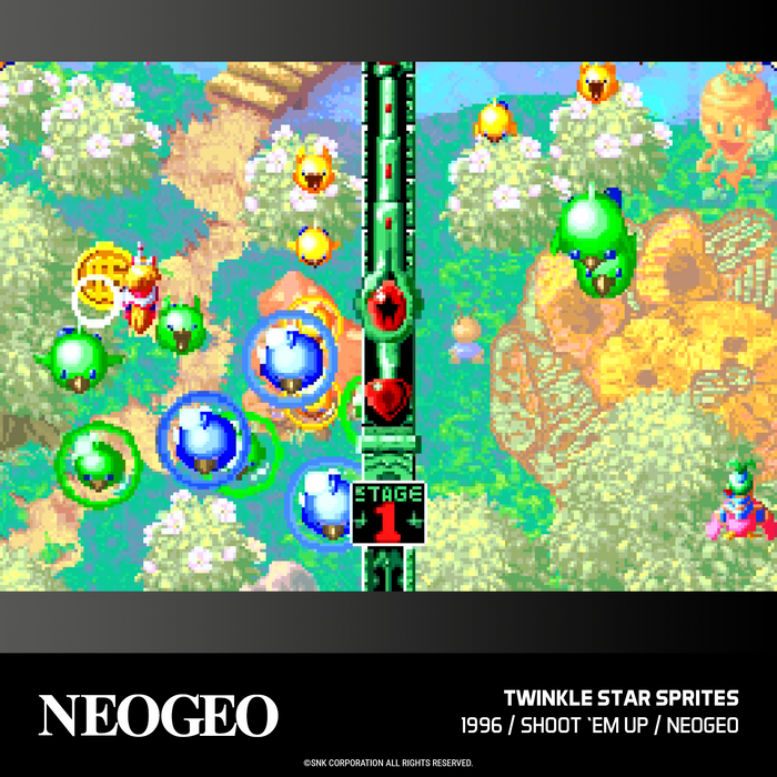 Evercade Neo Geo Arcade #3