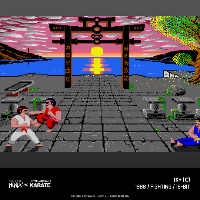 Evercade The Last Ninja and IK Collection & Evercade James Pond Collection (Free Shipping) (PRE-ORDER)
