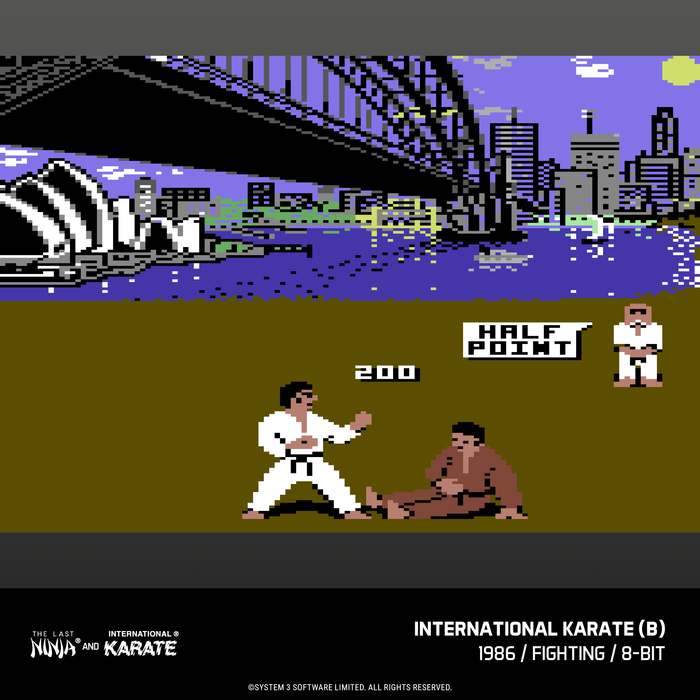 Evercade The Last Ninja and IK Collection & Evercade James Pond Collection (Free Shipping) (PRE-ORDER)