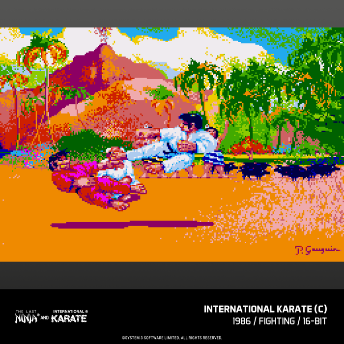 Evercade The Last Ninja and IK Collection & Evercade James Pond Collection (Free Shipping) (PRE-ORDER)