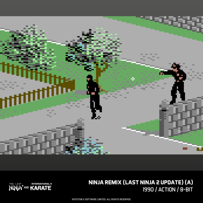 Evercade The Last Ninja and IK Collection & Evercade James Pond Collection (Free Shipping) (PRE-ORDER)