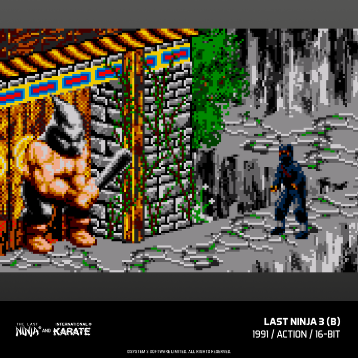 Evercade The Last Ninja and IK Collection & Evercade James Pond Collection (Free Shipping) (PRE-ORDER)