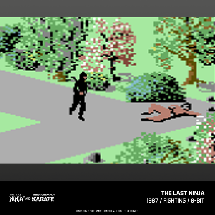 Evercade The Last Ninja and IK Collection & Evercade James Pond Collection (Free Shipping) (PRE-ORDER)
