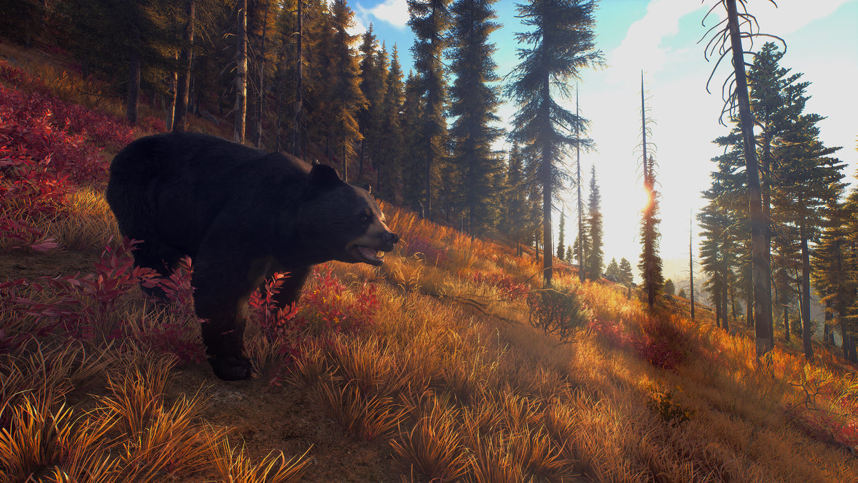 Way of the Hunter Hunting Season - PS5