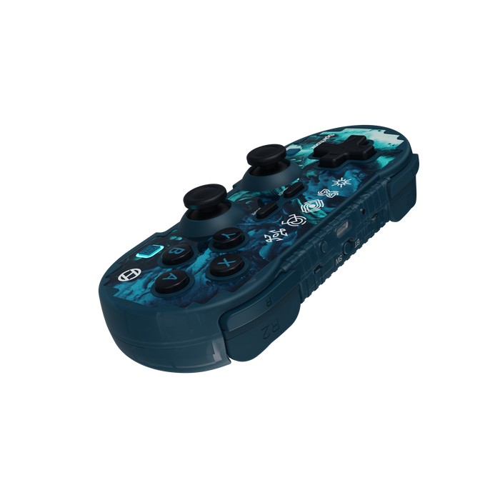 NSW - OFFICIAL SPIRITBOX EVA HARD SHELL CARRYING CASE NSW/OLED NSW  & PIXEL ART WIRELESS BLUETOOTH CONTROLLER OFFICIAL SPIRITBOX ED NSW/PC/MAC/AND Combo Pack (FREE SHIPPING)