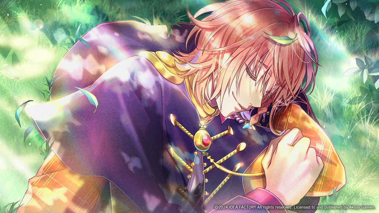 Mistonia's Hope -The Lost Delight- - Nintendo Switch