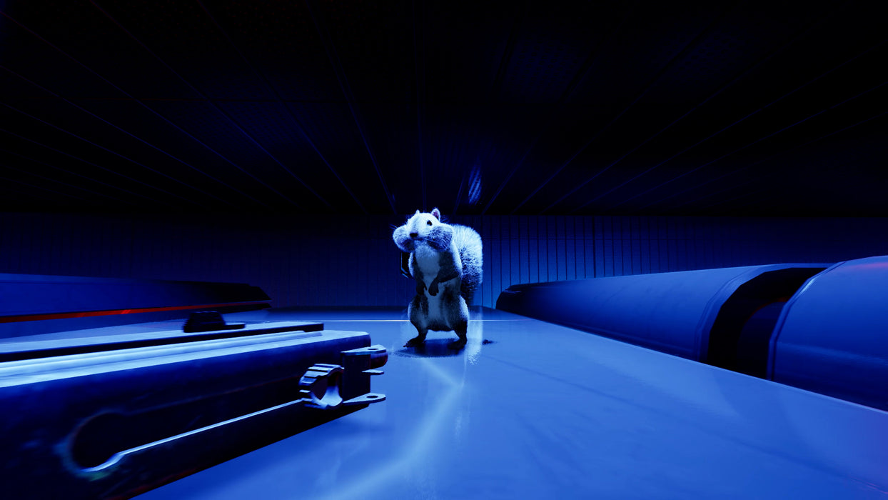 Squirrel With a Gun [Game-Key Card] - Nintendo Switch 2 (PRE-ORDER)