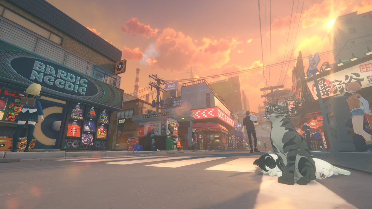 Zenless Zone Zero Collector's Edition - Playstation 5 (PRE-ORDER)