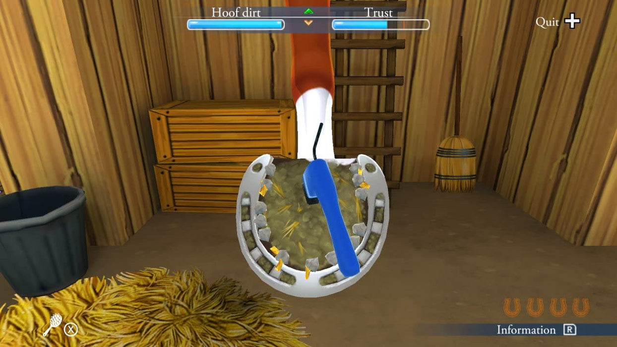 My Riding Stables: Life with Horses - Nintendo Switch — VIDEOGAMESPLUS.CA