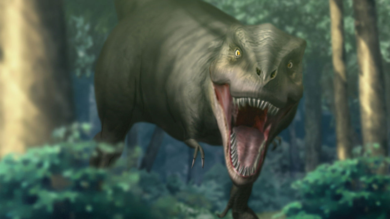 The Prince of Tennis: Doki Doki Survival eternal passion! Tie break game (Asian Import - Multi-Language) - Nintendo Switch (PRE-ORDER)