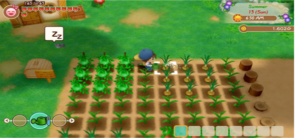 STORY OF SEASONS FRIENDS OF MINERAL TOWN - XBOX ONE