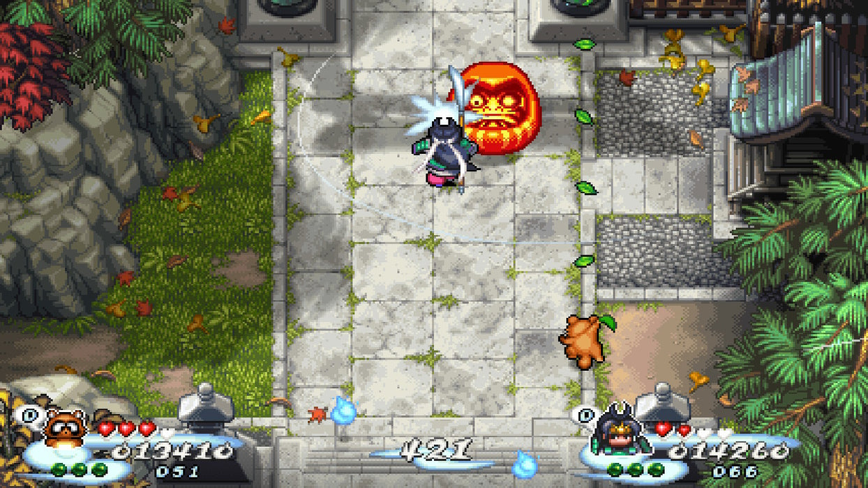 Pocky & Rocky Reshrined - SWITCH