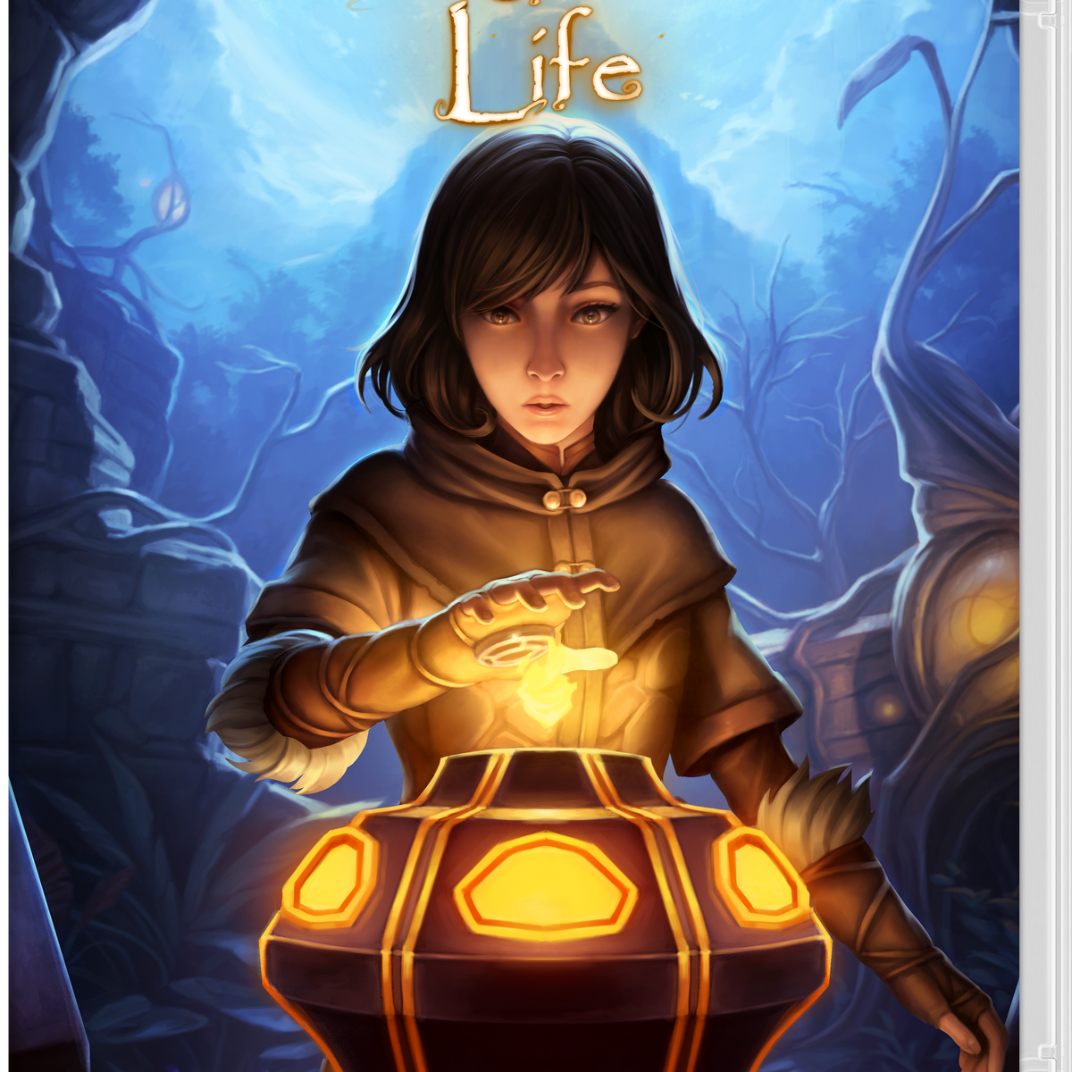 Seed of Life - Nintendo Switch — VIDEOGAMESPLUS.CA