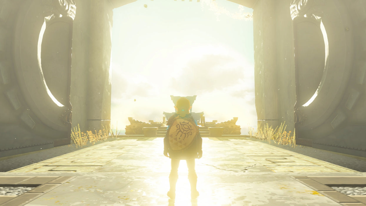 The Legend of Zelda: Tears of the Kingdom - SWITCH