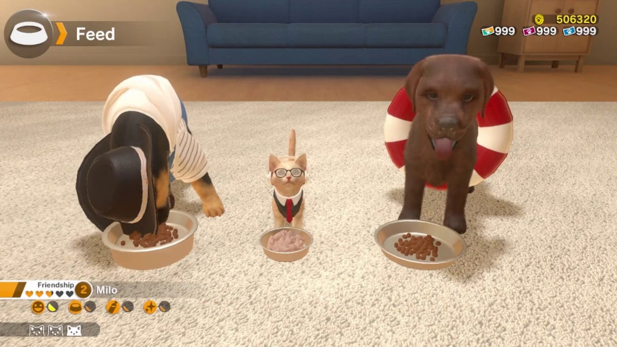 Little Friends Dogs Cats SWITCH — - Main Image