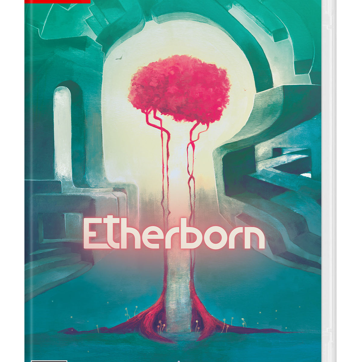 Etherborn [PHYSICAL STANDARD EDITION] - SWITCH — VIDEOGAMESPLUS.CA