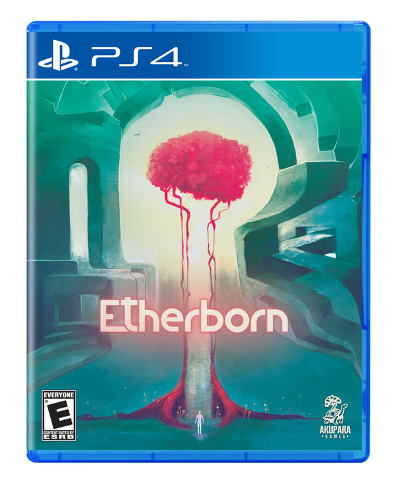 Etherborn [PHYSICAL STANDARD EDITION] - PS4