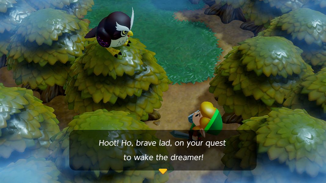 The Legend of Zelda Link's Awakening Dreamer Nintendo Switch Software  English